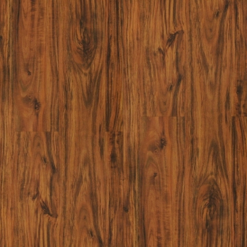 Show details for Durato - V-Evo Max Blenheim Picture of Durato - V-Evo Max Blenheim