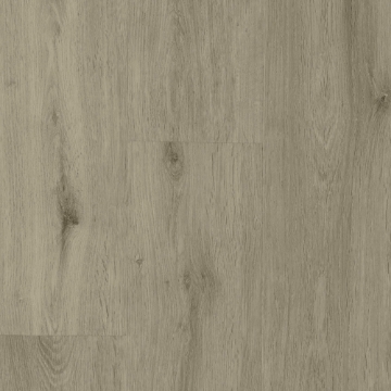 Show details for Durato - V-Evo Max Baymont Picture of Durato - V-Evo Max Baymont