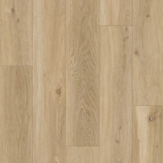 Picture of Durato - V-Evo Max Gherkin