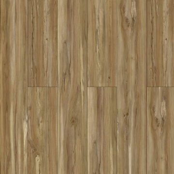 Picture of Durato - Azul Tortuga Biscayne