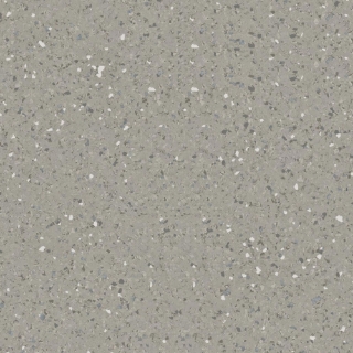 Picture of Tarkett - IQ Eminent 12 x 24 Warm Grey 878