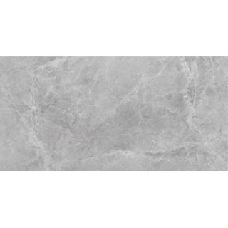 Picture of SantAgostino - Themar 12 x 24 Matte Grigio Savoia