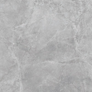 Picture of SantAgostino - Themar 24 x 24 Matte Grigio Savoia