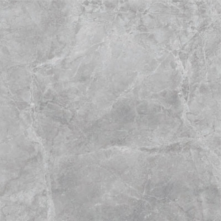 Picture of SantAgostino - Themar 24 x 24 Polished Grigio Savoia