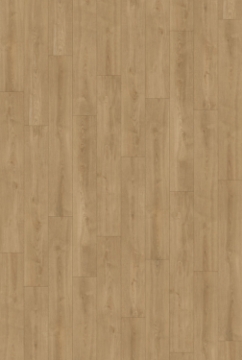 Picture of InHaus - Visions Clarke