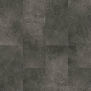 Picture of Raskin - Elevations 12 x 24 Soho