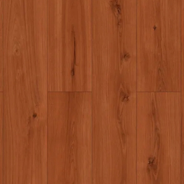 Picture of SFI Floors - Encore Bryce Canyon