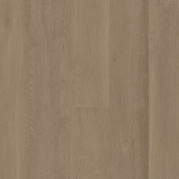 Picture of Palmetto Road - Outer Banks Salvo