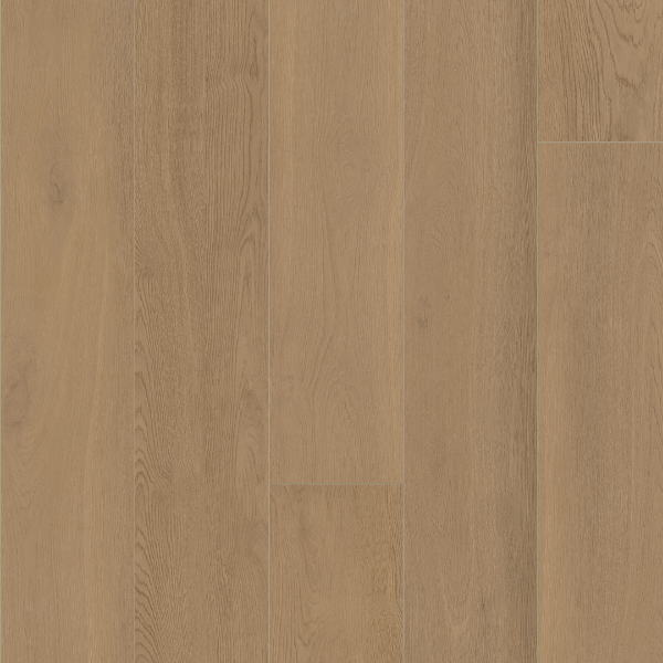 Picture of Palmetto Road - Outer Banks Kitty Hawk