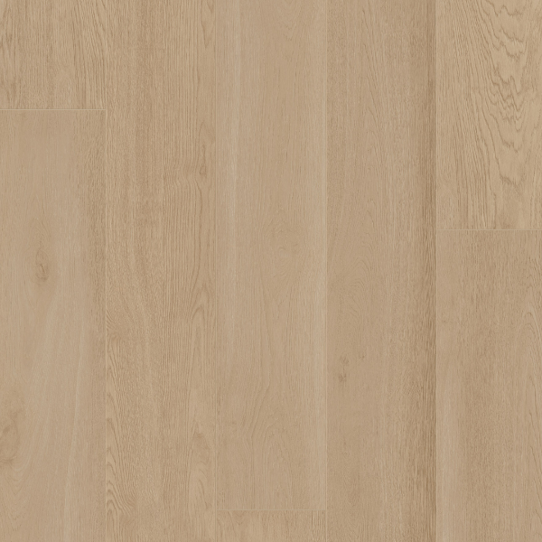 Picture of Palmetto Road - Outer Banks Ocean Trail