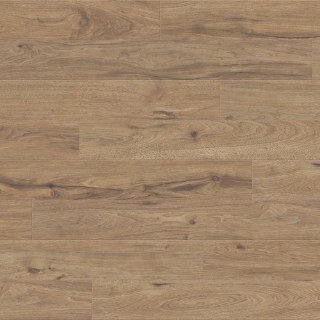 Picture of TrueTouch - Momentum Truffle