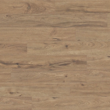 Picture of TrueTouch - Momentum Truffle