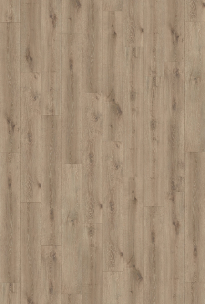 Picture of InHaus - Gallery Ledgestone