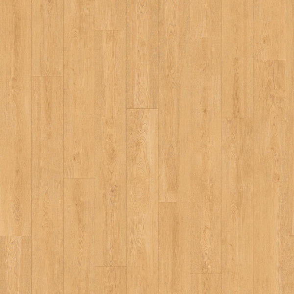 Picture of InHaus - Icon Sterling