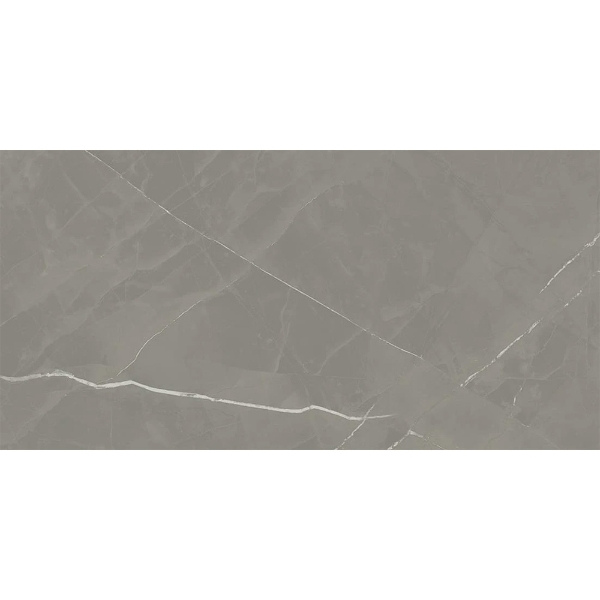 Picture of Atlas Concorde - Beyond Calacatta 12 x 24 Gray