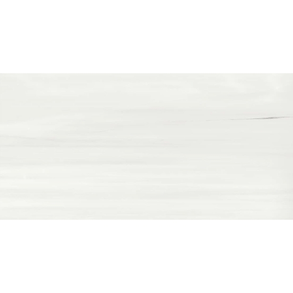 Picture of Atlas Concorde - Beyond Dolomite 24 x 48 Polished Cool White