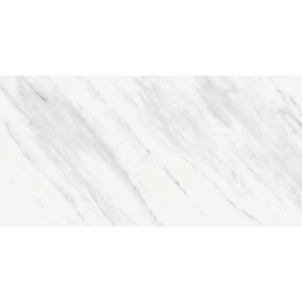 Picture of Atlas Concorde - Odyssey 12 x 24 Odyssey