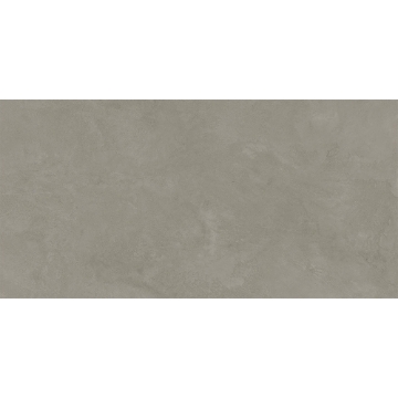 Picture of Atlas Concorde - Cove Terra 24 x 48 Gray