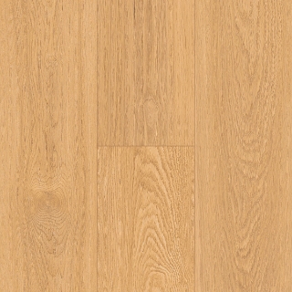 Picture of InHaus - Ecolam Saguaro