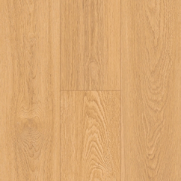 Picture of InHaus - Ecolam Saguaro