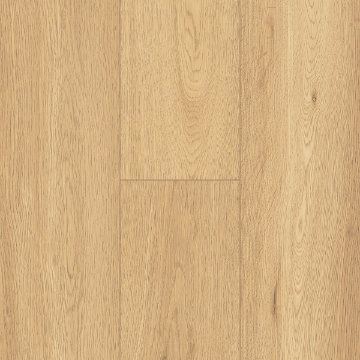 Picture of InHaus - Ecolam Noosa