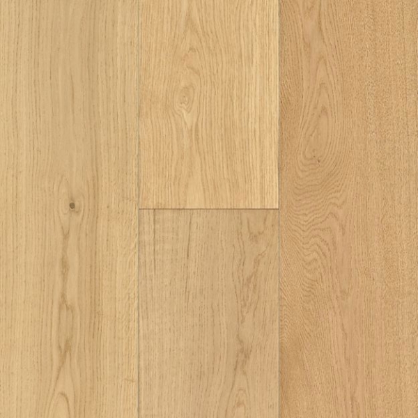 Picture of Robbins - Seaboard Cape May