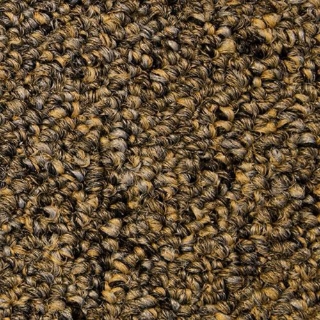 Picture of SFI Floors - Synergy Adaptive