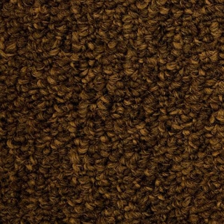 Picture of SFI Floors - Synergy Otter