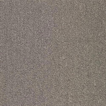 Picture of SFI Floors - Capital Dove Bar