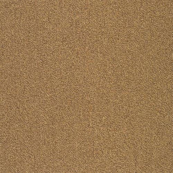 Picture of SFI Floors - Capital Ostrich