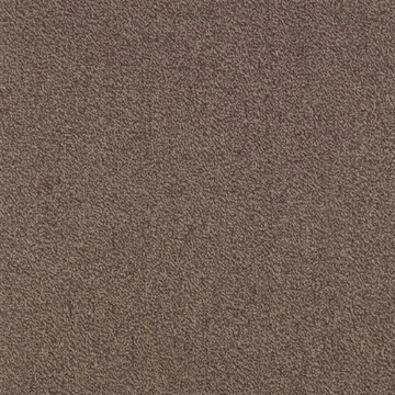 Picture of SFI Floors - Capital Seagull