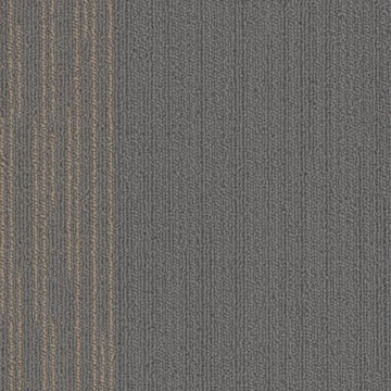 Picture of SFI Floors - Chicago Field Museum