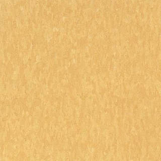 Picture of Armstrong - Standard Excelon Imperial Texture 1/8 Golden