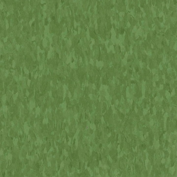 Picture of Armstrong - Standard Excelon Imperial Texture 1/8 Lime Zest