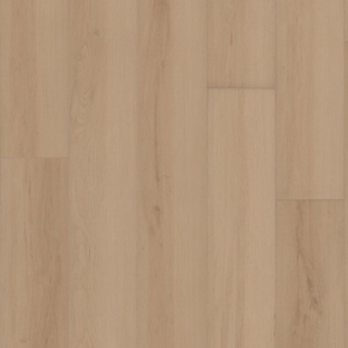 Picture of Shaw Floors - Ambition Champagne