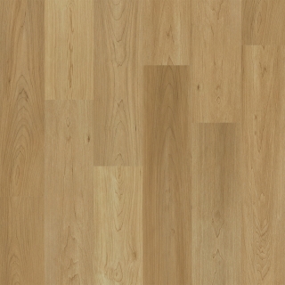 Picture of Engineered Floors - PureGrain Renew Empower Charlotte