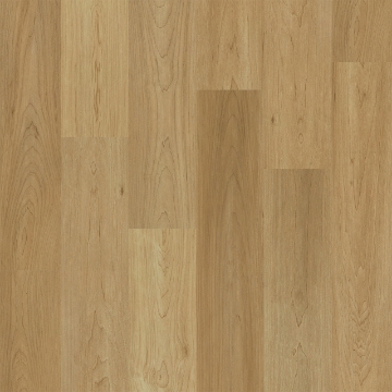 Picture of Engineered Floors - PureGrain Renew Empower Charlotte