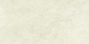 Picture of Ecoceramic - Babilon 24 x 48 Polished Bone