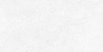 Picture of Ecoceramic - Babilon 24 x 48 Matte Artic