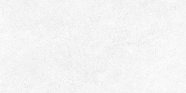 Picture of Ecoceramic - Babilon 24 x 48 Grip Artic