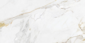 Picture of Ecoceramic - Marshall 24 x 48 Gold Matte