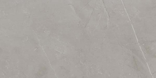 Picture of Ecoceramic - Slabs 24 x 48 Matte Gris