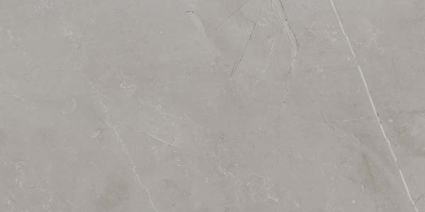 Picture of Ecoceramic - Slabs 24 x 48 Matte Gris