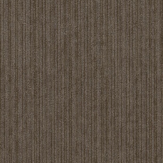 Picture of Philadelphia Commercial by Shaw - Rare Essence Core