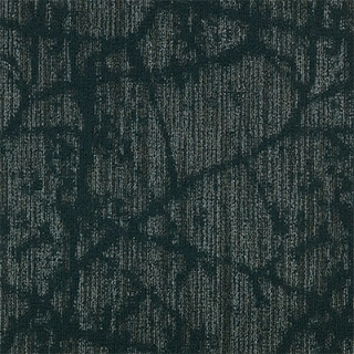 Picture of Mannington - Canopy II Sydney