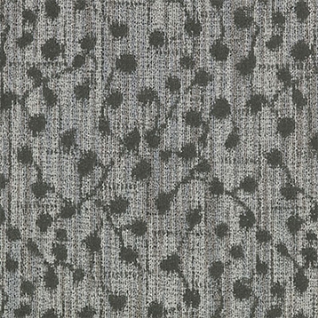 Picture of Mannington - Squareberry II Elder