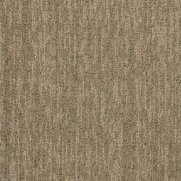 Picture of Mannington - Camus Debussy