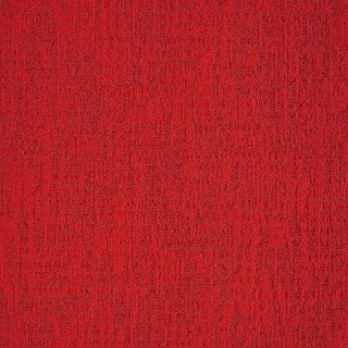 Picture of Mannington - Transmit Live Stream