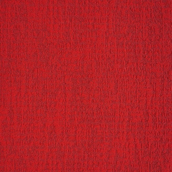 Picture of Mannington - Transmit Live Stream