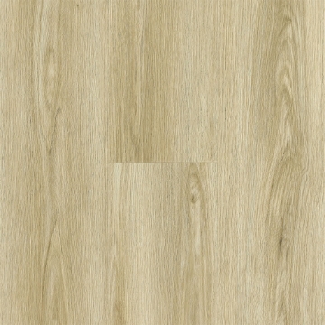 Picture of Armstrong - Lutea Paradise Honey Haven